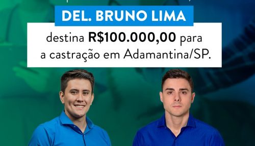 Recursos / causa animal / castração