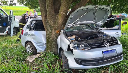 Casal morre em grave acidente na SP - 294 no trecho Iacri - Tupã