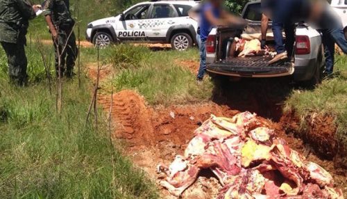 Fiscalização fecha abatedouro ilegal e apreende 600 kg de carne em Tupã