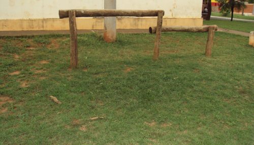 Província, Pandemia, Natal e Mentes Bovinas...