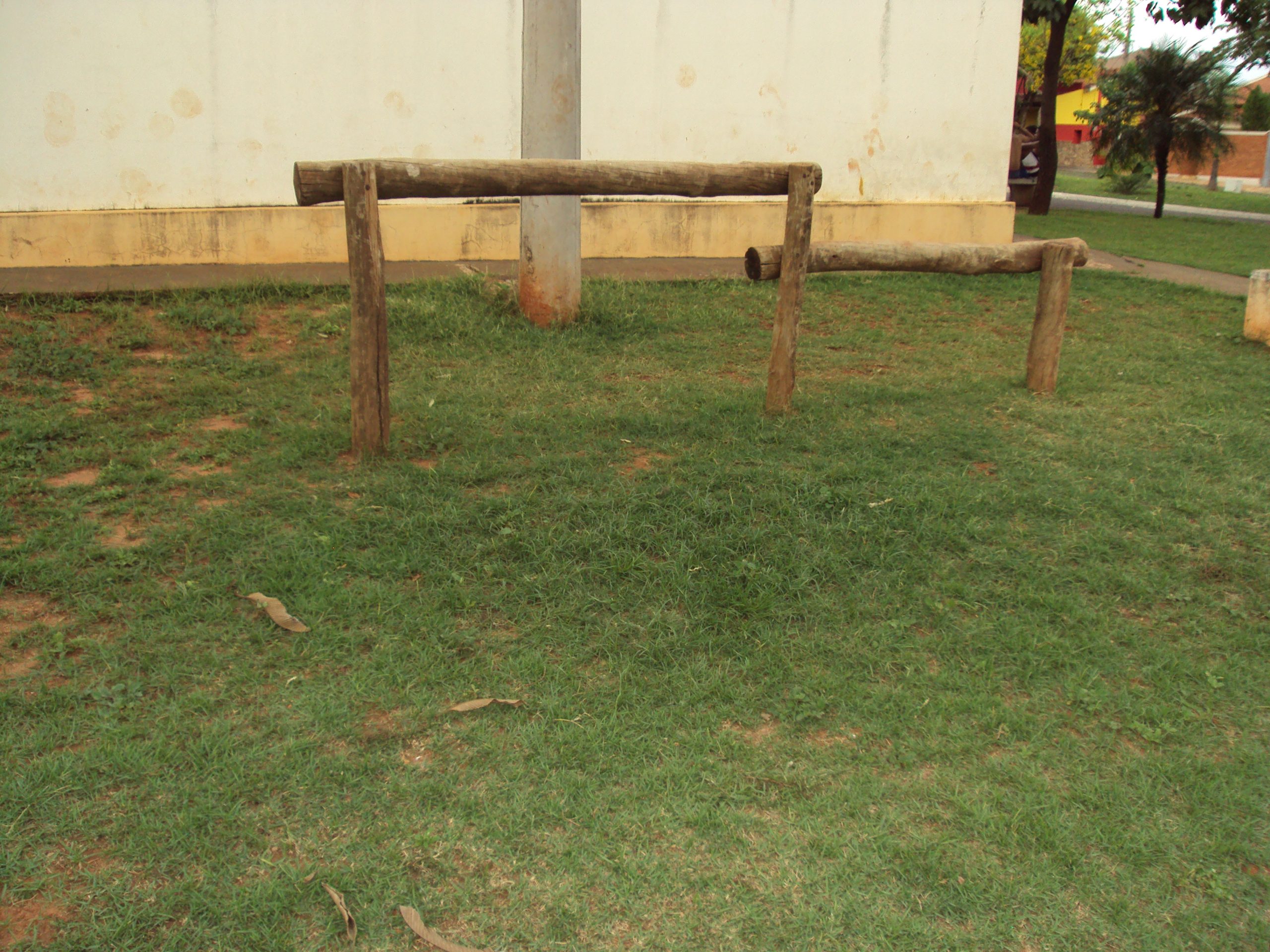 Província, Pandemia, Natal e Mentes Bovinas...