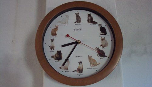 PROVÍNCIA, PAREDES ALVAS, “TÁ TUDO DOMINADO” e “EU JÁ SABIA...”