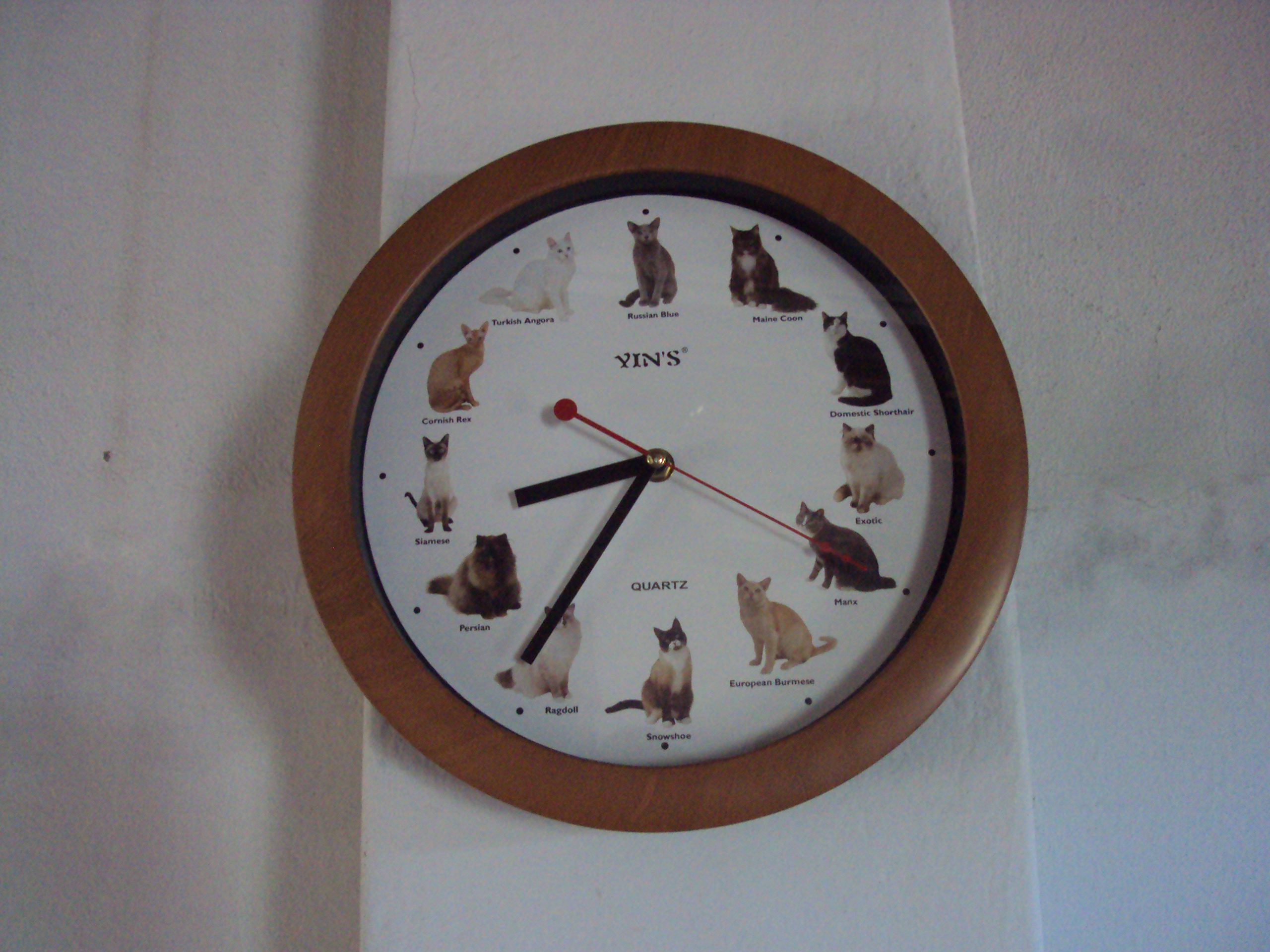 PROVÍNCIA, PAREDES ALVAS, “TÁ TUDO DOMINADO” e “EU JÁ SABIA...”