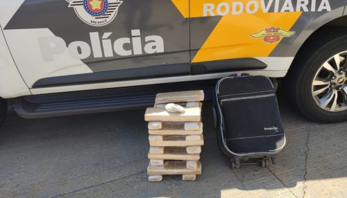 Fiscalização apreende mais de 15 quilos de maconha em bagagem de adolescente na SP-270