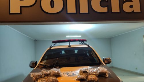 Durante vistoria, policiais localizam quase quatro quilos de skank com passageira