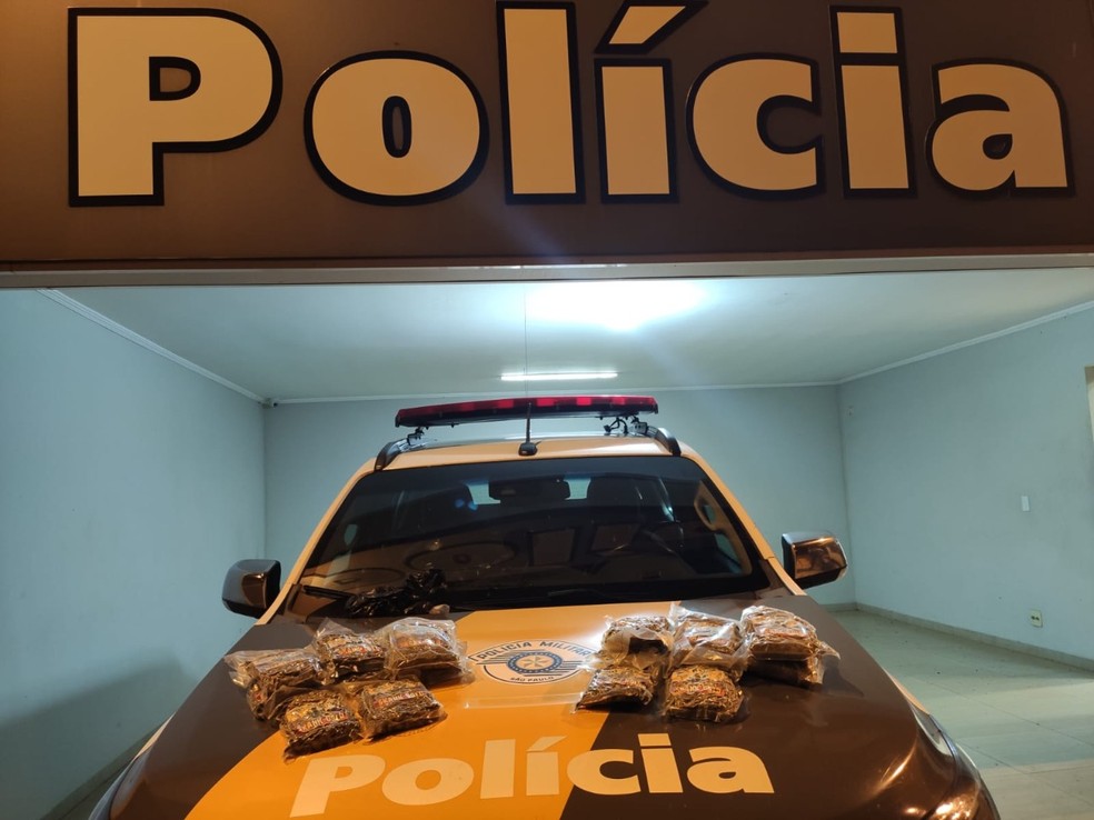 Durante vistoria, policiais localizam quase quatro quilos de skank com passageira