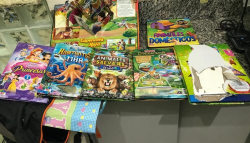 Polícia localiza drogas escondidas em livros infantis e prende mulher em flagrante