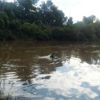 1083cc89 F102 4b74 9e6f 4254fdcc2893