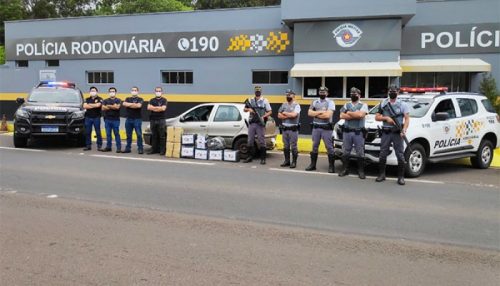 Polícia Rodoviária apreende cerca de 150 kg de maconha em operação na SP-270