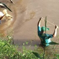 25378687 36fe 4875 Ae5d 1eb07118a16e