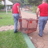 T187fl600084674bc48 1