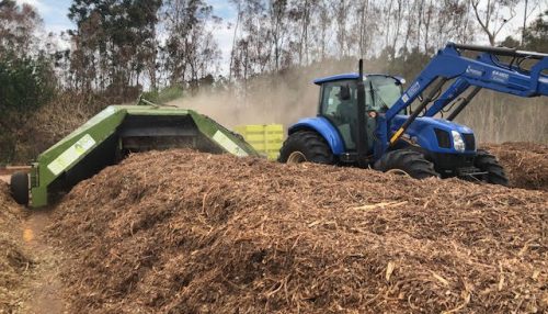 Projeto realizado pela Energisa em Adamantina está transformando a vida dos pequenos agricultores