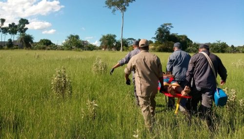 Idoso é localizado em área de mata fechada em Rosana após ficar três dias desaparecido
