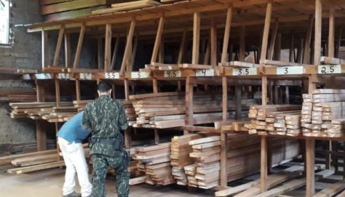 Polícia Ambiental apreende madeira irregular e homem é autuado em mais de R$ 11 mil