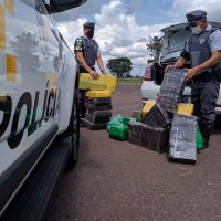 Whatsapp Image 2021 01 13 At 15.56.05