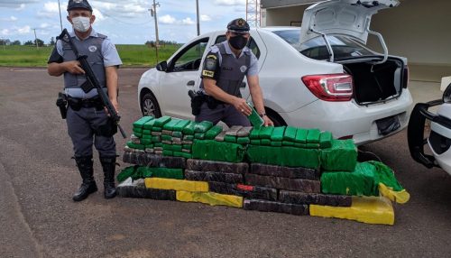 Carga de maconha é apreendida dentro de carro abordado na Rodovia Raposo Tavares