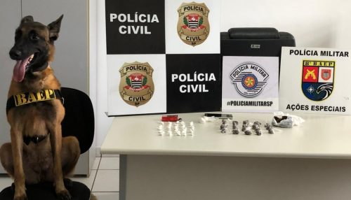 Operação policial em Santo Expedito apreende drogas e prende casal