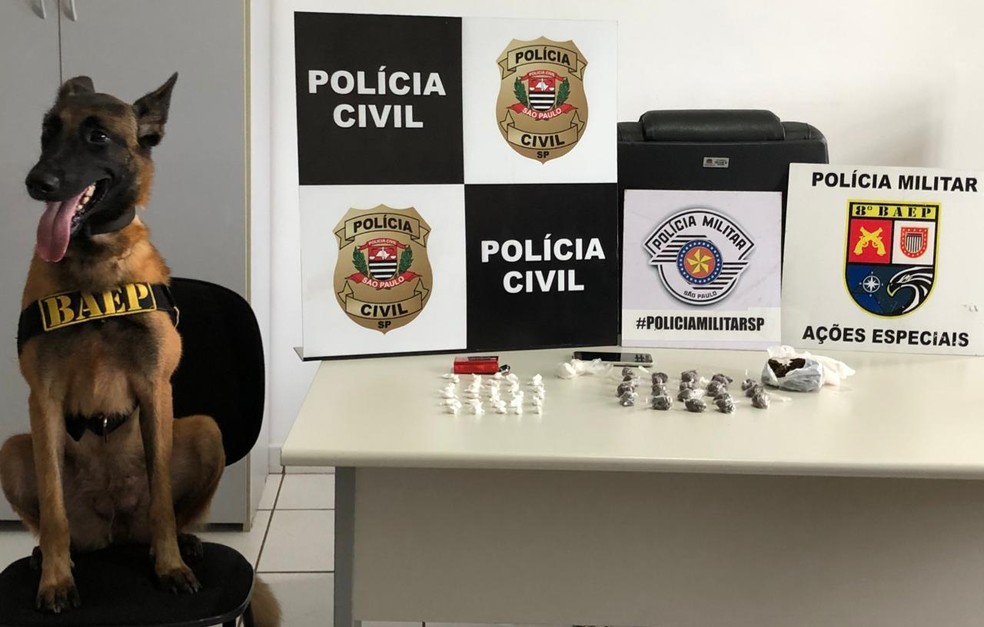 Operação policial em Santo Expedito apreende drogas e prende casal