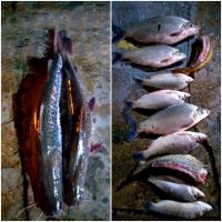 Whatsapp Image 2021 01 30 At 08.12.31