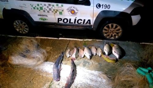 Polícia Militar Ambiental flagra pesca predatória no Rio Aguapeí e apreende 25 quilos de peixes em Lucélia
