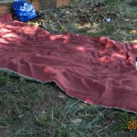 151516938_3742600809157250_7112677094734404272_o