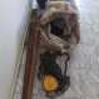 67c32d45 6925 4ed7 A483 63129511756d