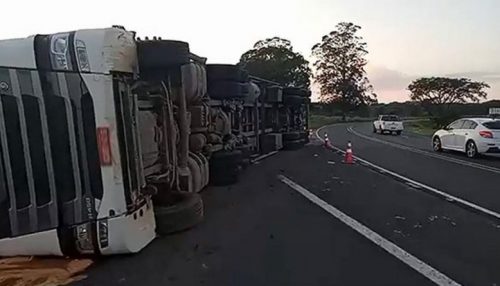 Caminhão de Adamantina carregado com carcaça de frango tomba em rodovia da região