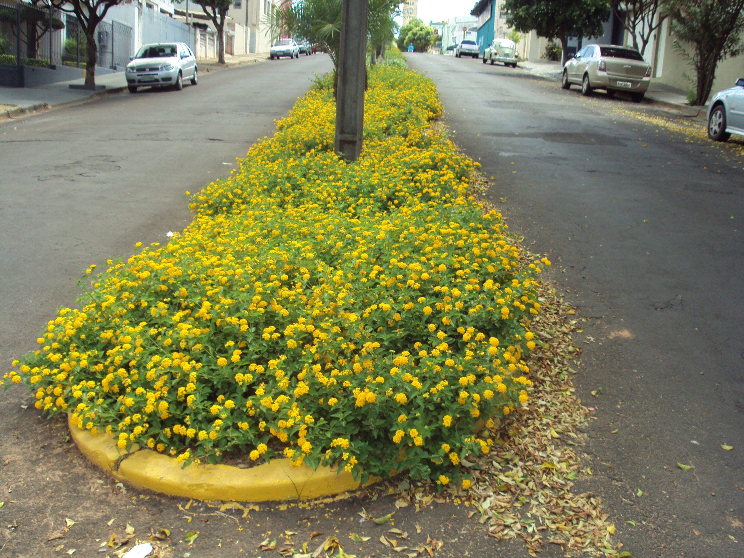 Nesta Província do faz de conta tudo é possível...