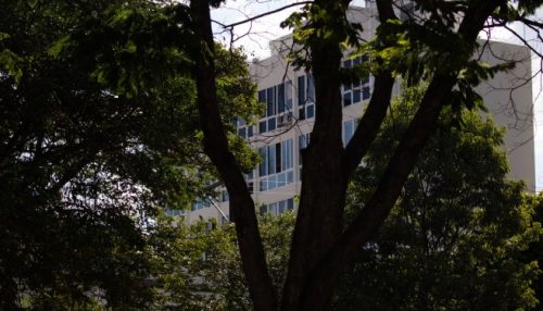 MP pede esclarecimentos à Câmara e Prefeitura sobre abertura do comércio de Adamantina