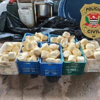 WhatsApp Image 2021 02 11 At 19.16.03