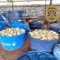 WhatsApp Image 2021 02 11 At 19.16.03(1)