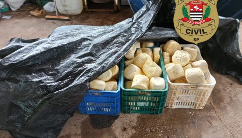 Polícia Civil fecha local suspeito de fabricar queijos clandestinos em Dracena