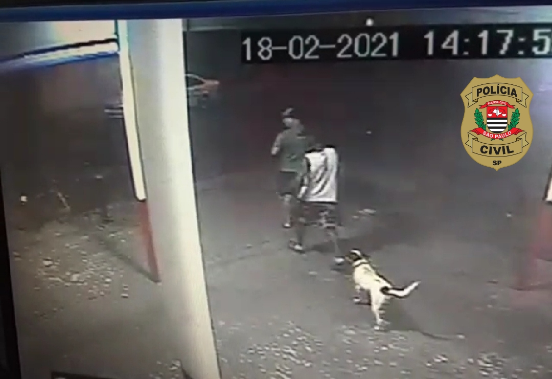 Polícia Civil prende autor de homicídio em Rosana