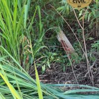 WhatsApp Image 2021 02 24 At 18.47.00(1)