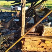 WhatsApp Image 2021 02 25 At 21.19.48