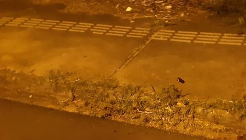 Mulher é presa em flagrante após matar o companheiro com golpe de garrafa de vidro no pescoço em Presidente Prudente