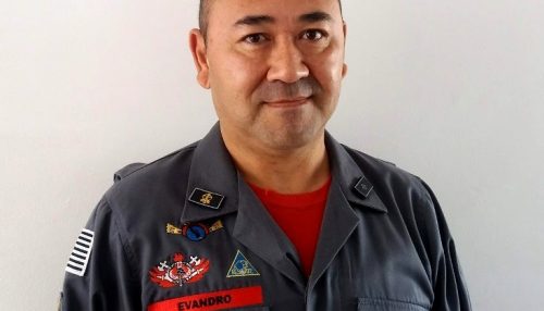 Bombeiro dá dicas de como prevenir e agir em casos de ataque de abelhas