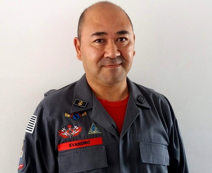 Bombeiro dá dicas de como prevenir e agir em casos de ataque de abelhas