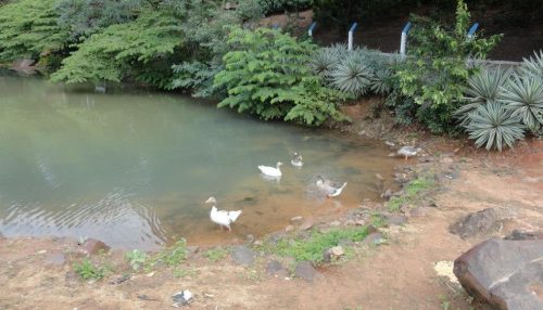 Oeste Paulista recebe apenas R$ 80 mil dos R$ 27,4 milhões destinados aos municípios turísticos