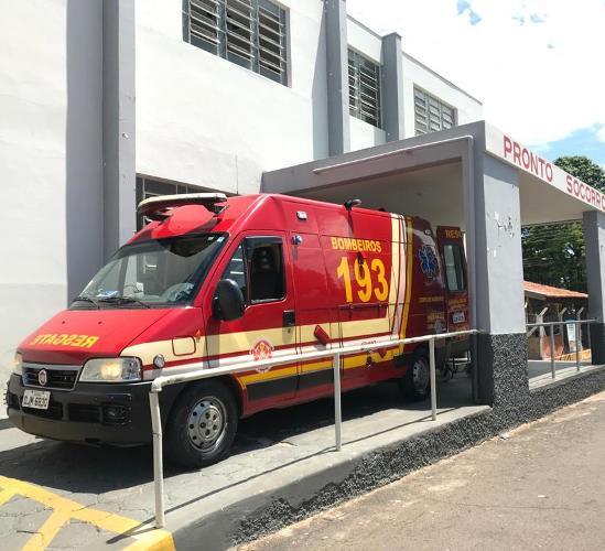 Idoso vai parar na UTI após ser atacado por enxame de abelhas em Adamantina