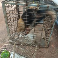 Whatsapp Image 2021 02 02 At 18.45.42