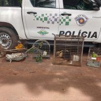 Whatsapp Image 2021 02 02 At 18.45.43 2