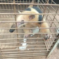 Whatsapp Image 2021 02 02 At 18.45.44 1