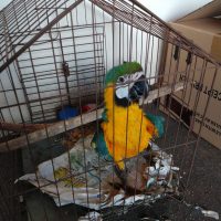 Whatsapp Image 2021 02 02 At 18.45.44