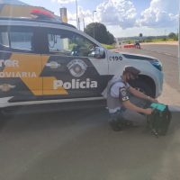 Whatsapp Image 2021 02 07 At 20.42.06