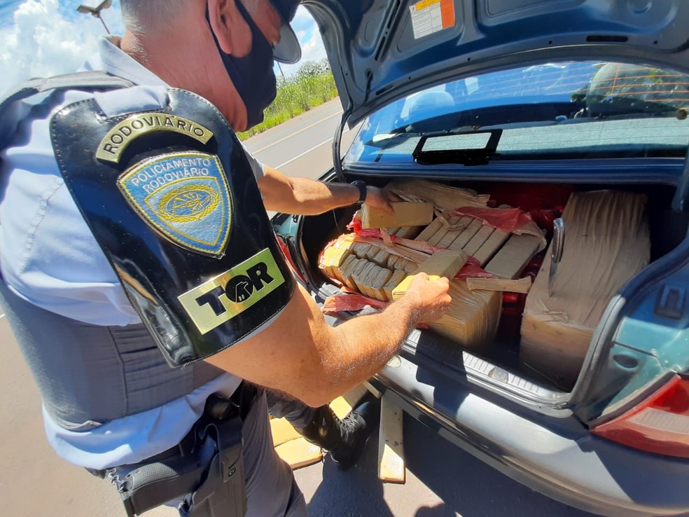 Quase 191 kg de maconha são apreendidos durante abordagem da Polícia Rodoviária na SP-425