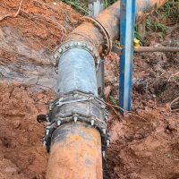 1631873251193856335389197435382861228576555njpg16162908086056a3f8b786a