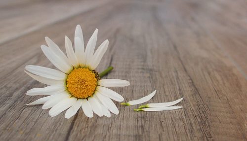 Mulher comete suicídio no bairro Lagoa Azul em Osvaldo Cruz