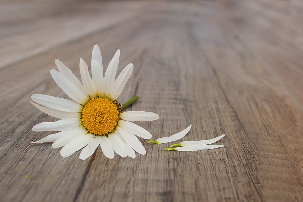 Mulher comete suicídio no bairro Lagoa Azul em Osvaldo Cruz