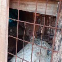 2f104984 965f 4d01 B60d Ddd0f2a698ea